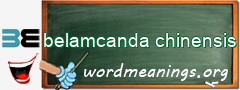 WordMeaning blackboard for belamcanda chinensis